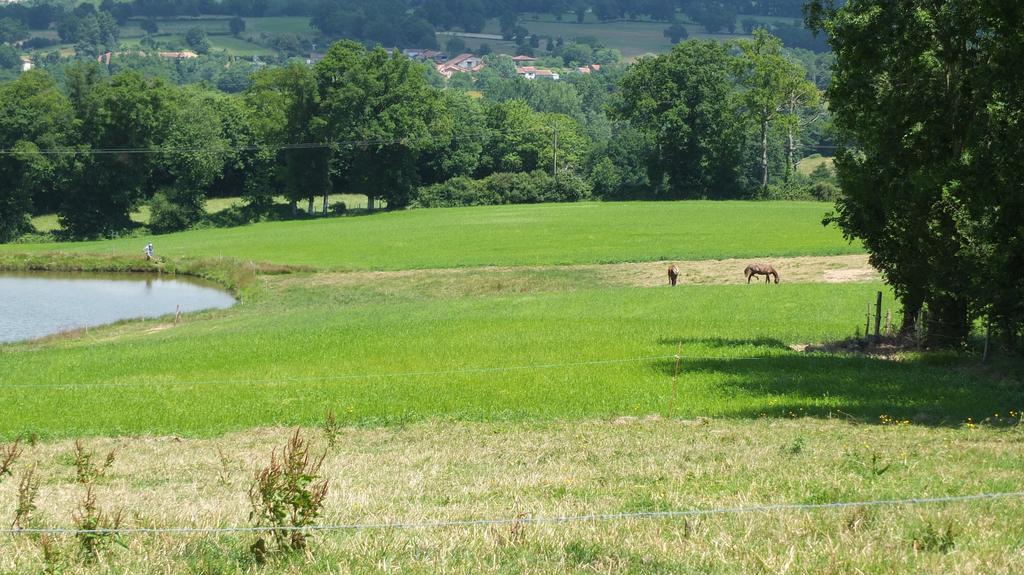 A L'Ombre Du Marronnier Gites La Peruse Buitenkant foto